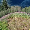 powrót do Les Houches